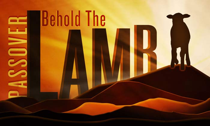 Behold the Lamb